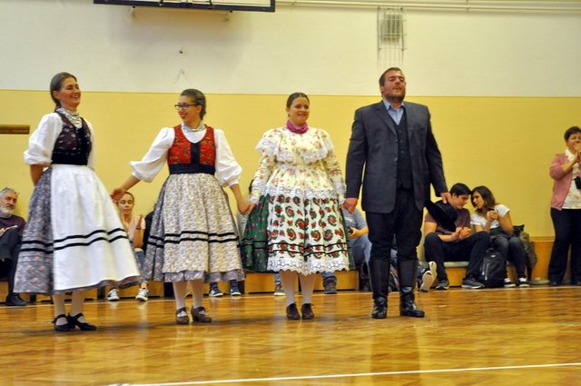 csibetábor az aranyban 50